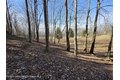 Additional image 39 of Timber Dr Lot 10, Cochecton, NY, 12726