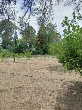 Additional image 7 of 112 Hungerford Lane, Vinifera VIC 3591