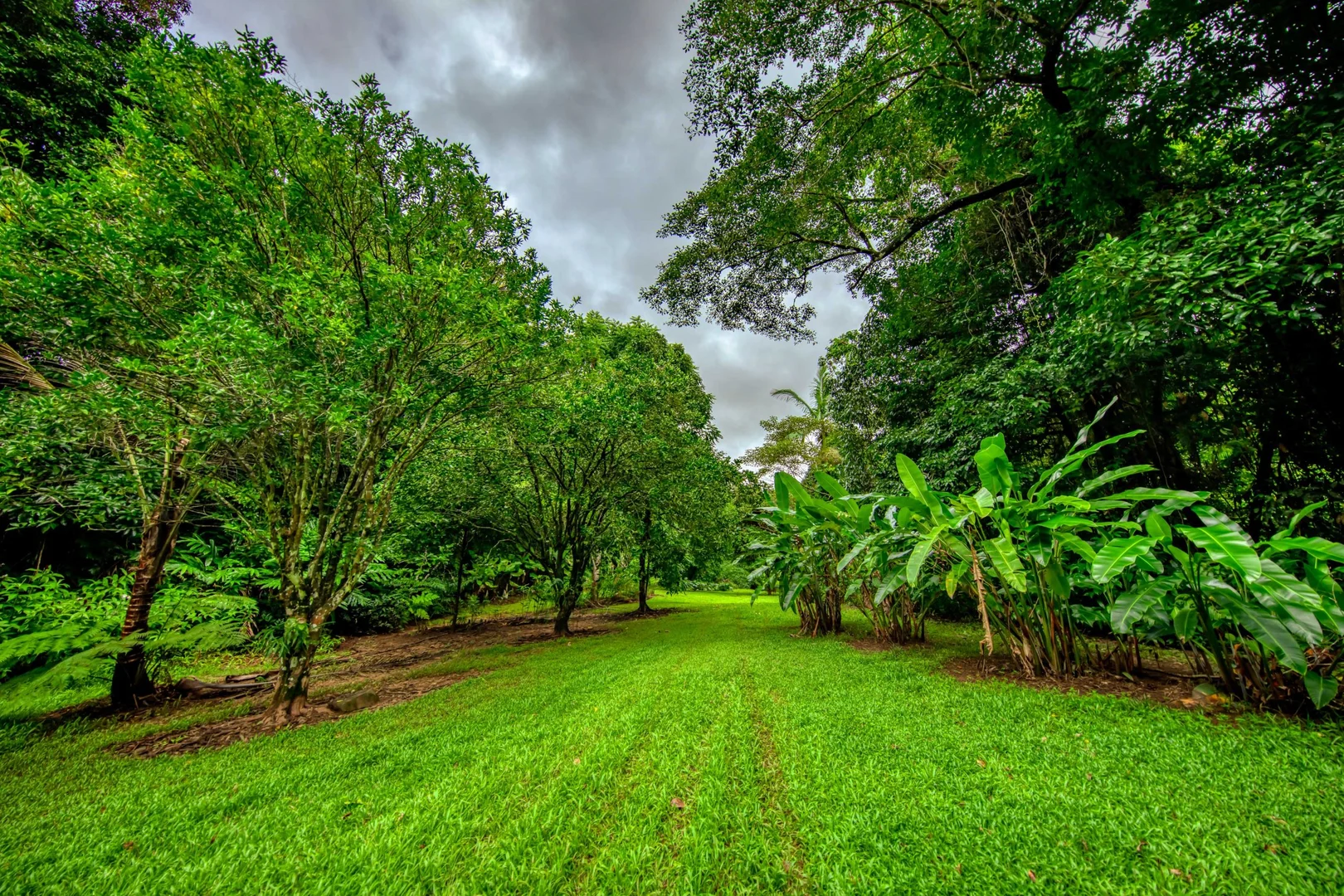 Additional image 30 of 546 Utchee Creek Road, Utchee Creek QLD 4871