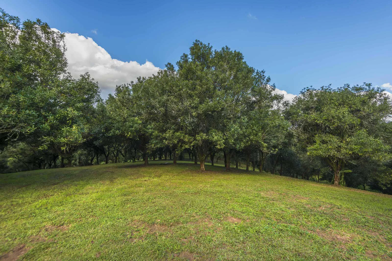 Additional image 20 of 1248 Dunoon Road, Dunoon NSW 2480