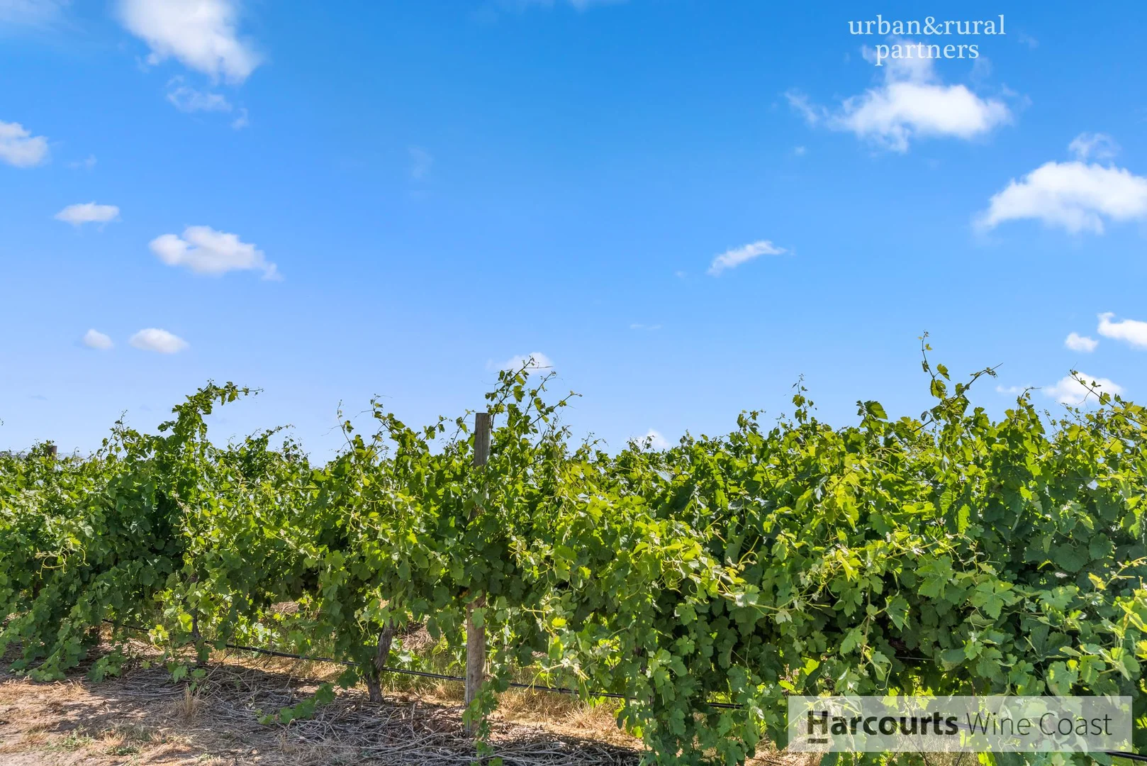 Additional image 27 of 543 Aldinga Road, Aldinga SA 5173