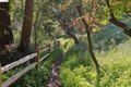 Additional image 37 of 5 Abbott Way, Piedmont, CA, 94618