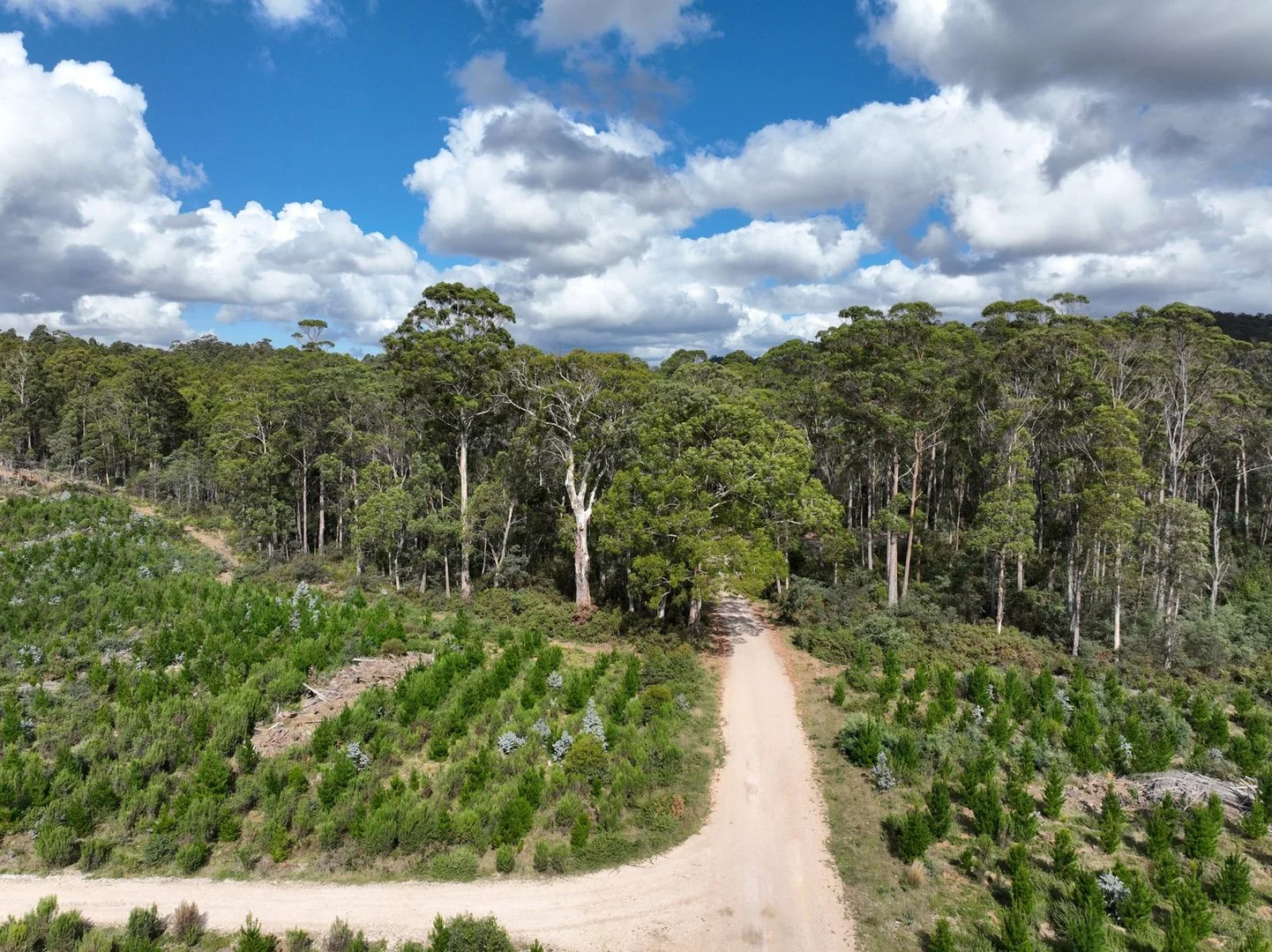 Lot 12 &13 Porters Bridge Road, Exton TAS 7303