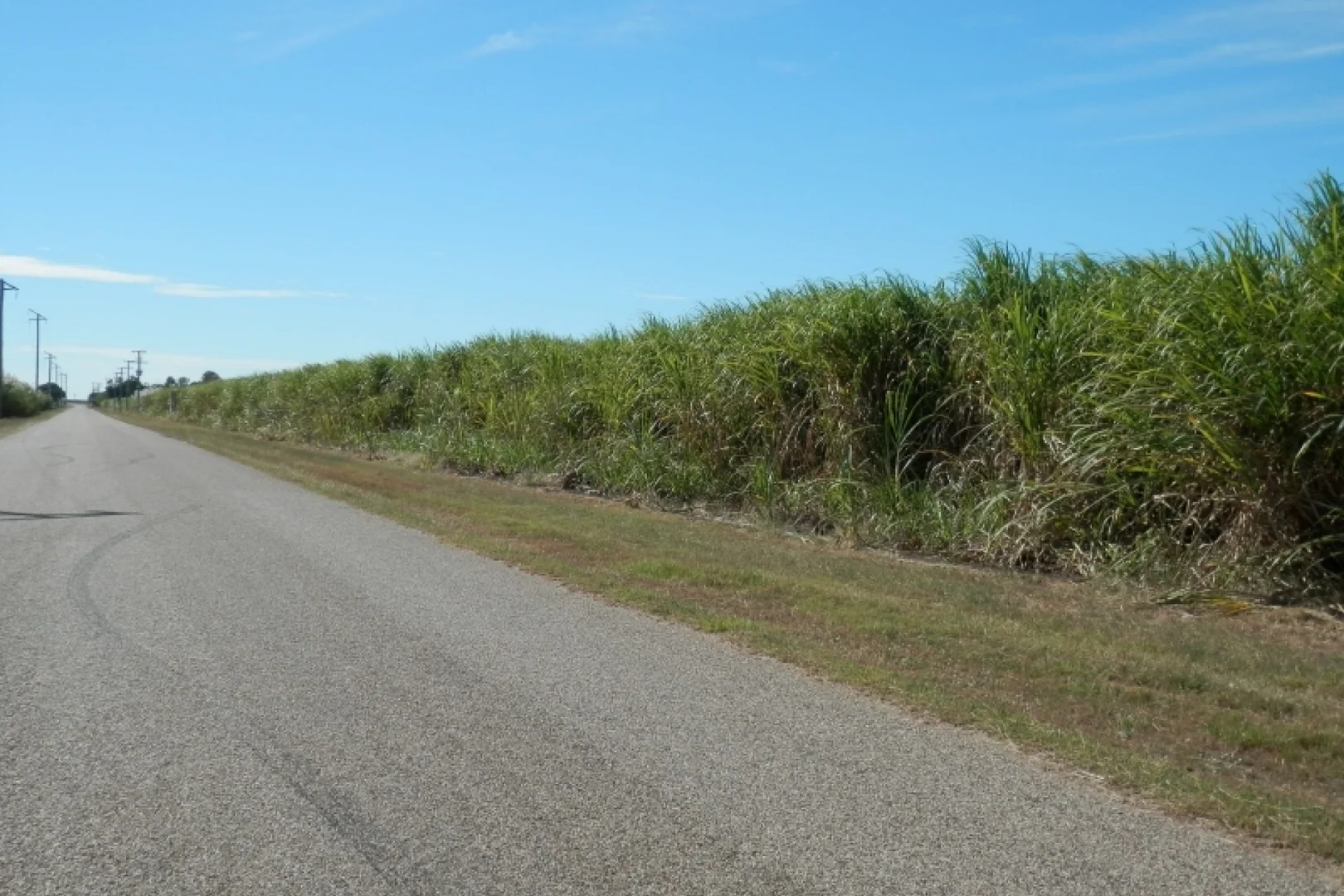 Additional image 11 of 52 Linton Road, Fredericksfield QLD 4806