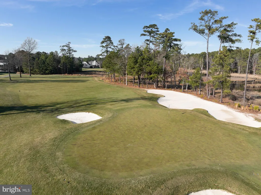 Additional image 90 of 22106 S Preservation Drive, Millsboro, DE 19966