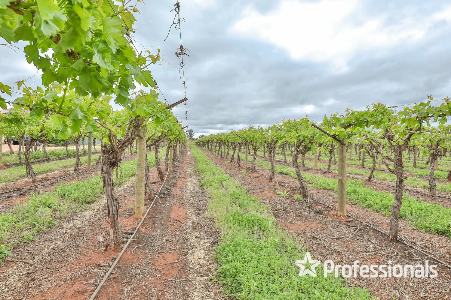 Additional image 16 of 350 & 356 Stewart Road, Red Cliffs VIC 3496