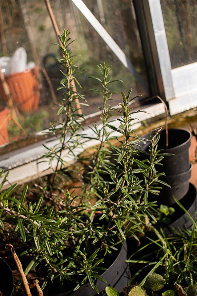 Additional image 12 of 2 Bed Bungalow, Kays Gardens, M3, N1 7GU