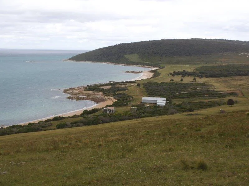 Additional image 14 of . Prime Seal Island (Bass Strait), Whitemark TAS 7255