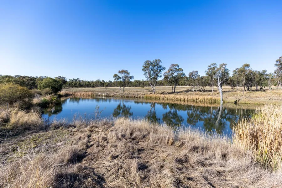 Additional image 10 of 11608 Gwydir Highway, Delungra NSW 2403