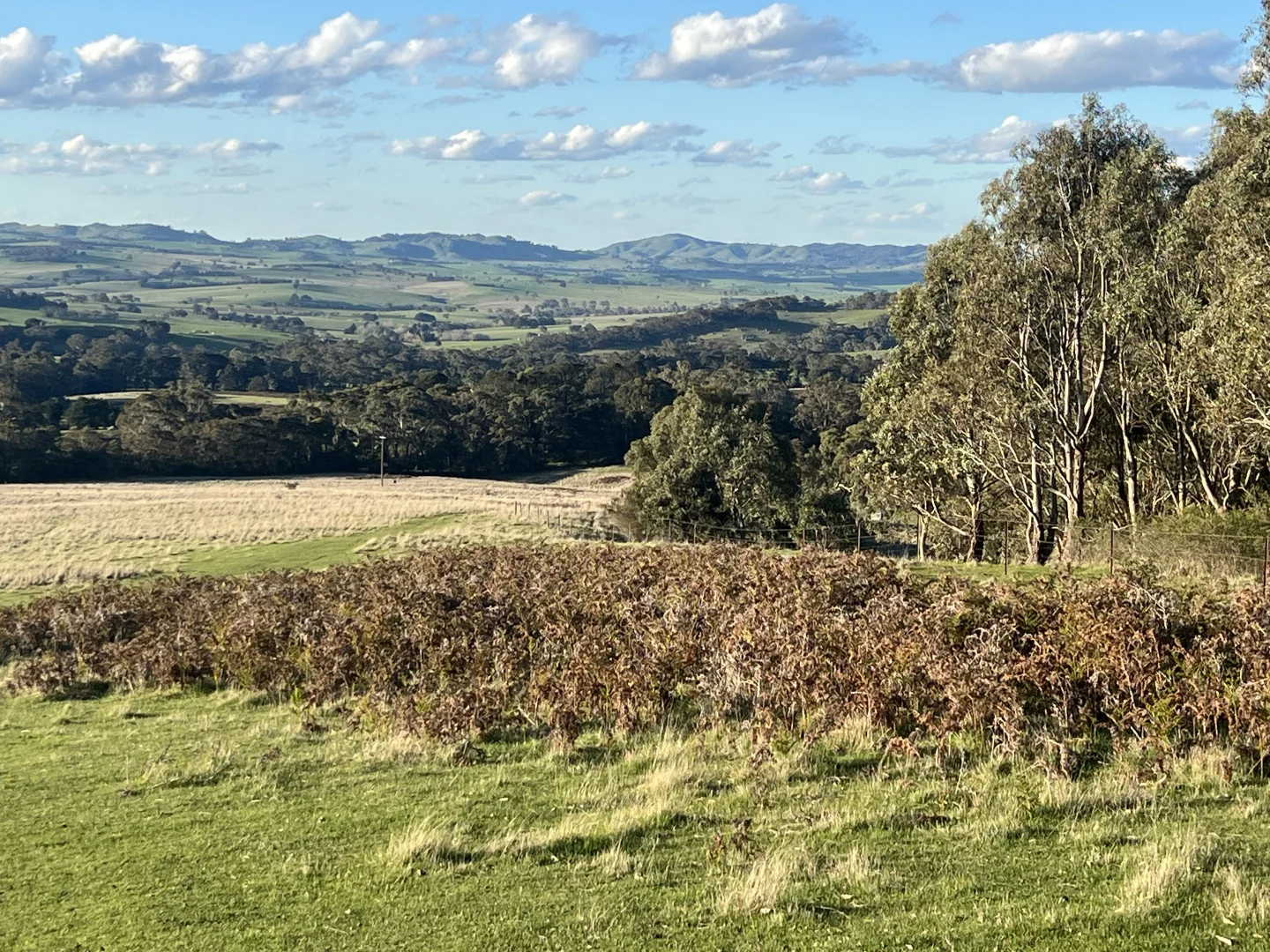 Additional image 16 of Lancefield-Pyalong Road, Goldie VIC 3435