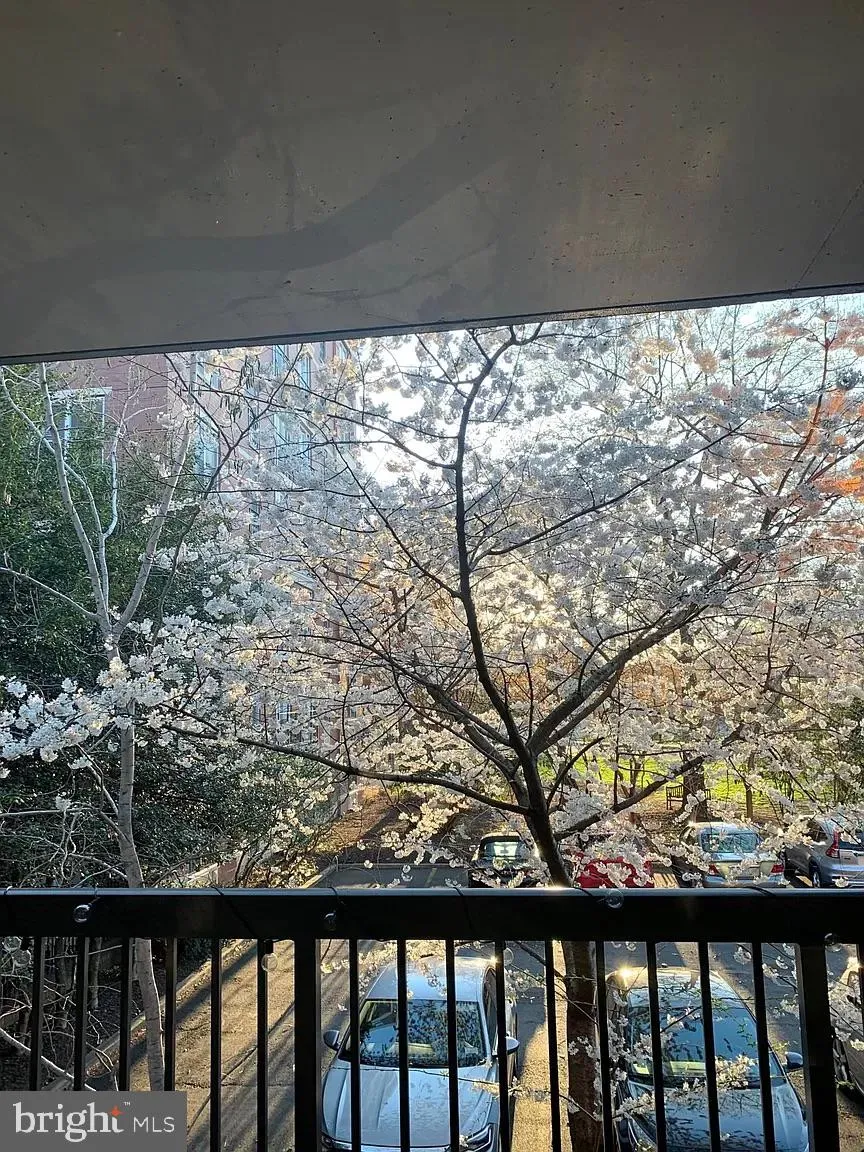 Additional image 29 of 1318 22nd Street NW Unit 203, Washington, DC 20037