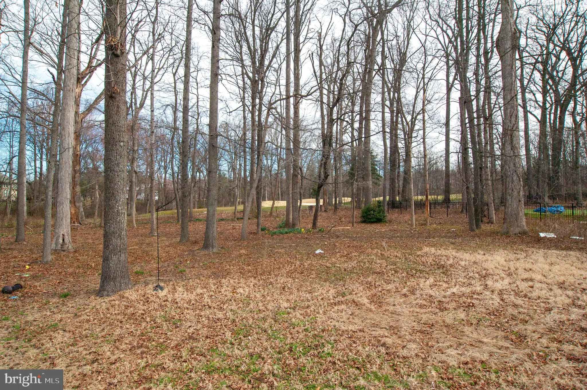 Additional image 24 of 703 Green Winged Trail, Camden Wyoming, DE 19934