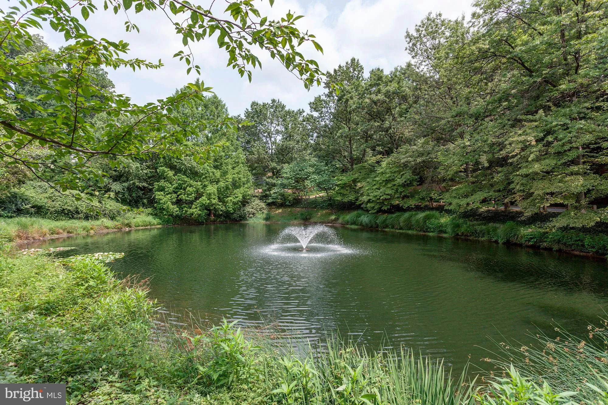 Additional image 39 of 3911 Ivy Terrace Court NW, Washington, DC 20007