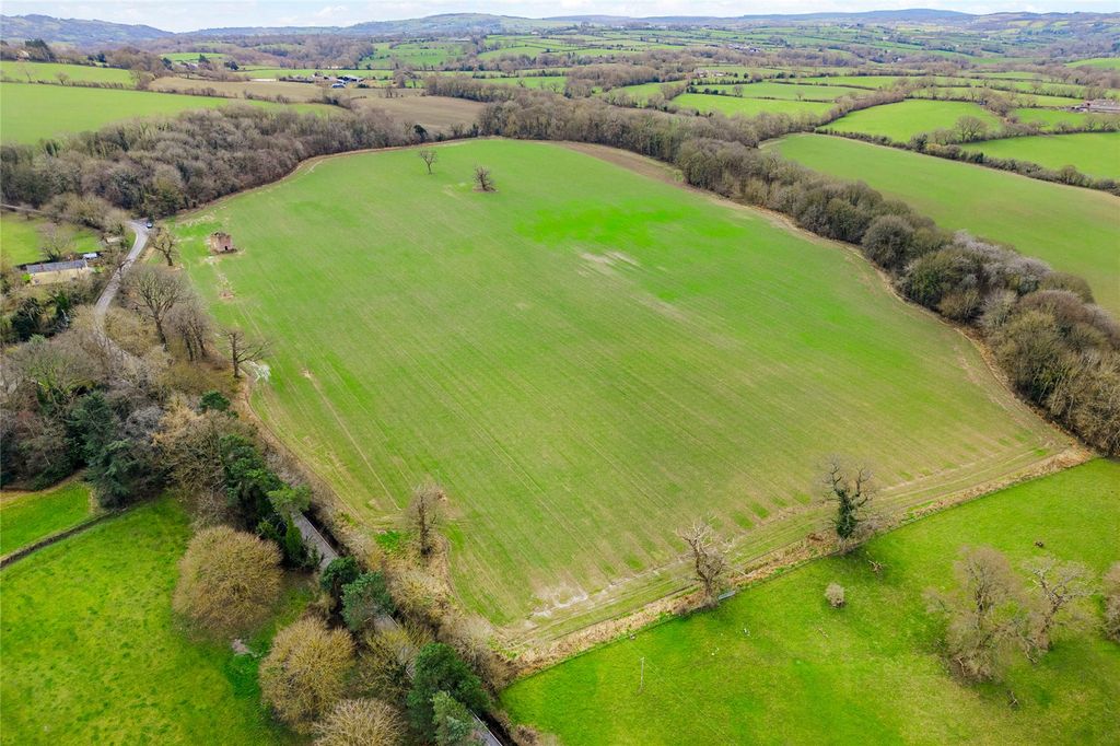 Additional image 6 of Equestrian for saleLeeswood, Mold, Flintshire CH7