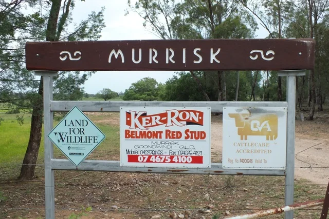 2151 Tenomby Road, Goondiwindi QLD 4390