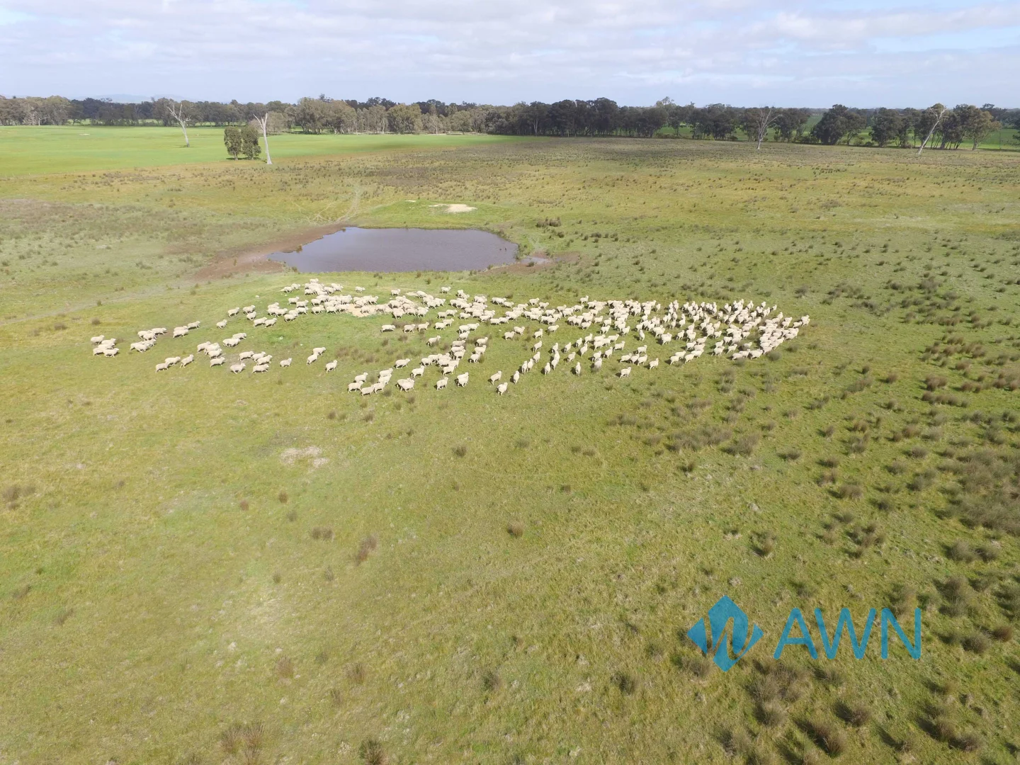 Additional image 3 of 1 Stubbs Road, Pranjip VIC 3666