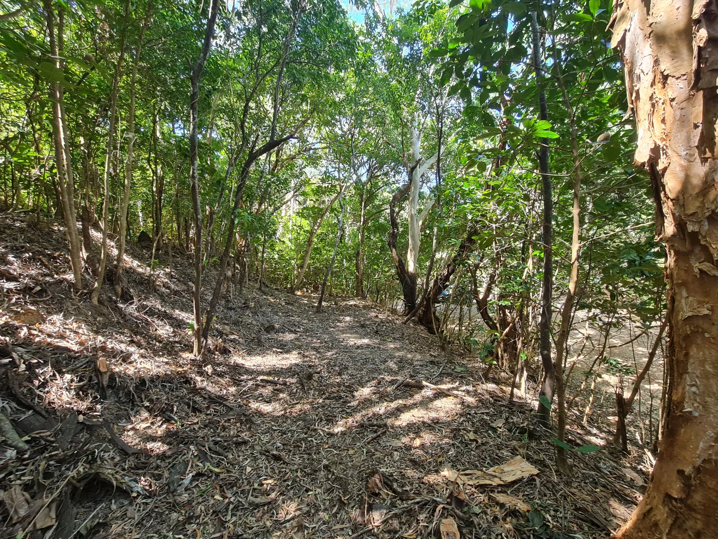 Additional image 14 of 18 Flinders Street, Cooktown QLD 4895