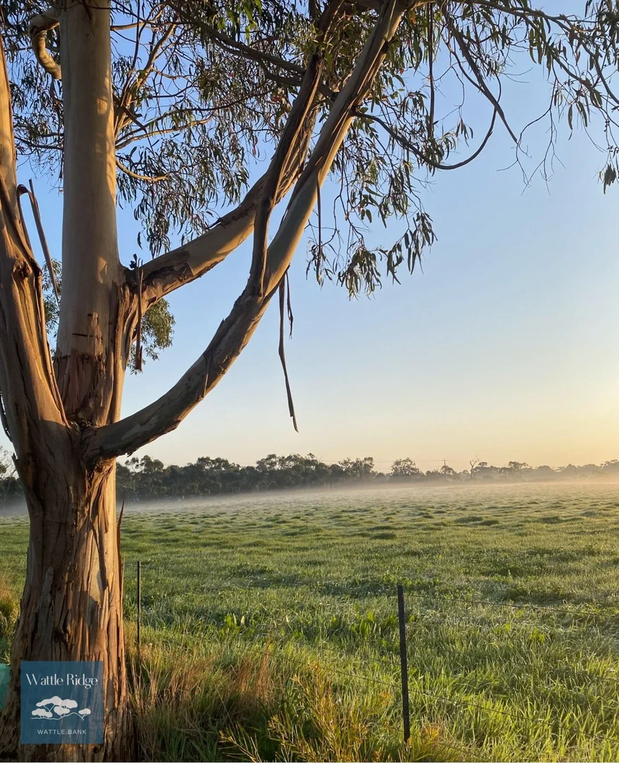 Additional image 5 of Majestic Vista, Wattle Bank VIC 3995