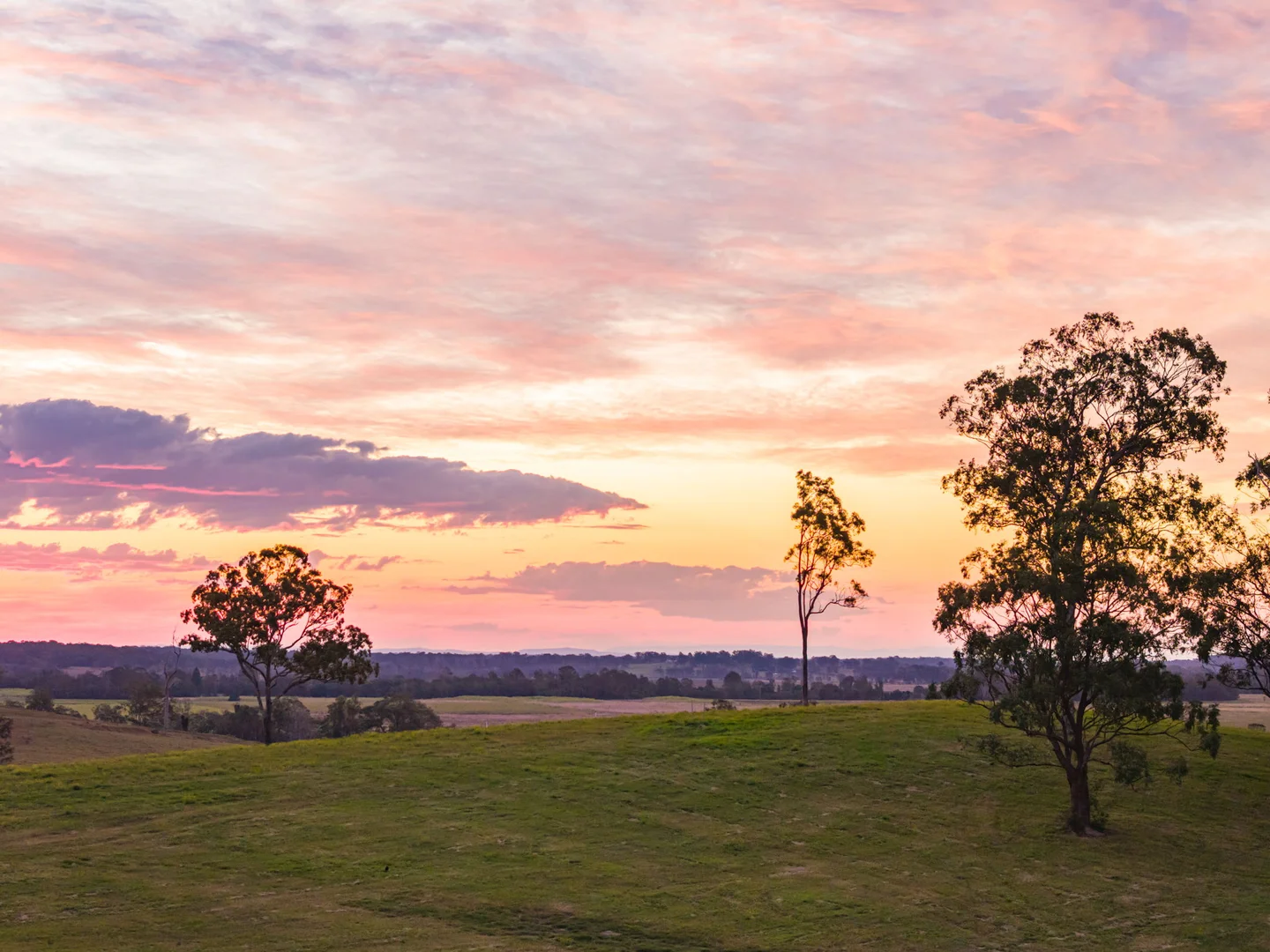 Additional image 24 of 160 Reardons Lane, Swan Bay NSW 2471