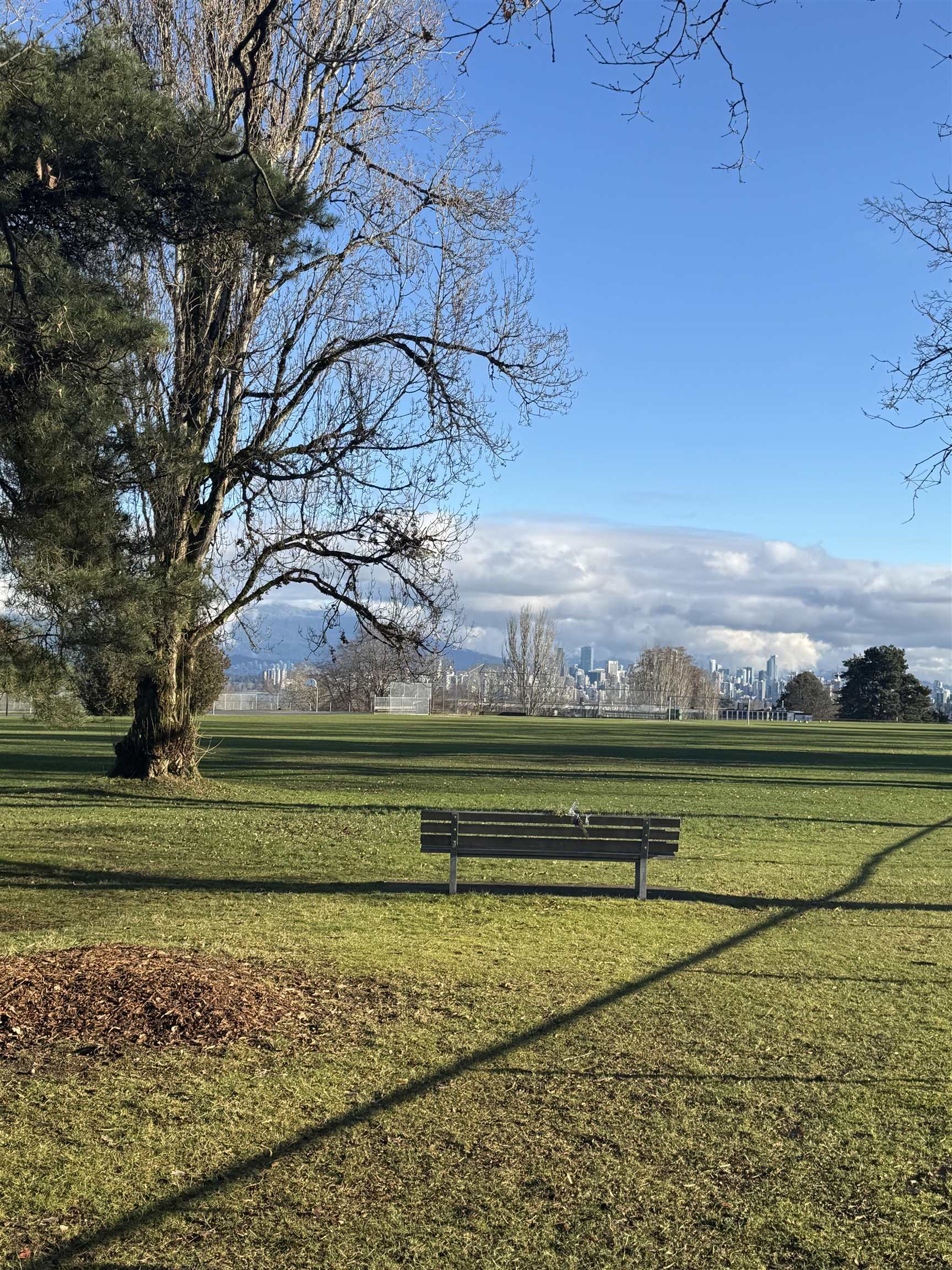 Additional image 6 of 4653 8th Avenue W, Vancouver, BC, V6R 2A6