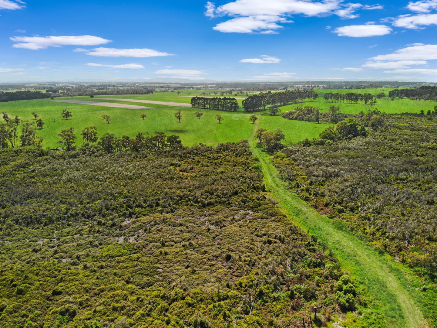 Additional image 16 of 435 Stuhrs Road, Darnum VIC 3822