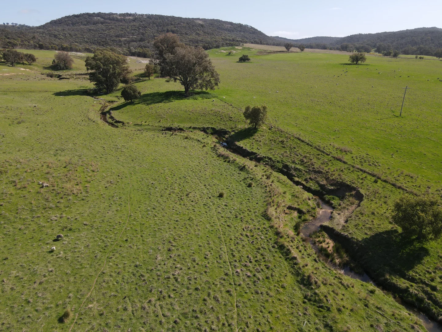 Additional image 3 of "Glenroy" 165 Bald Hills Road, Grenfell NSW 2810