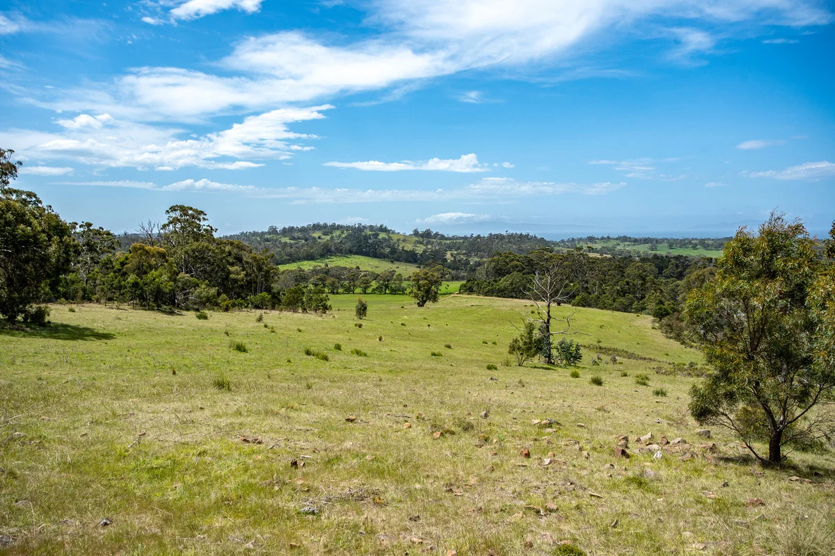 Additional image 17 of 2/10923 Tasman Highway, Little Swanport TAS 7190