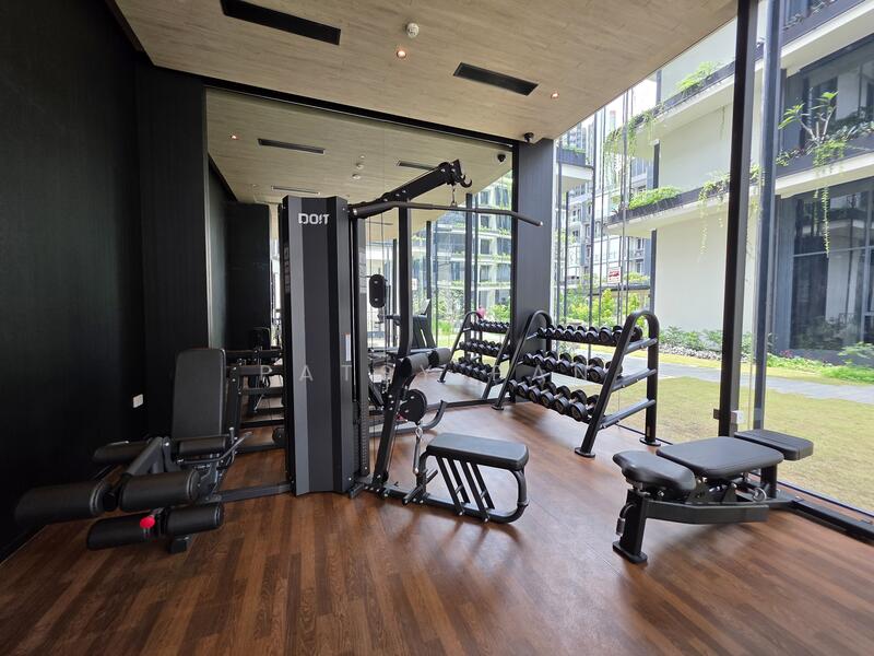 Additional image 16 of 4 Jervois Close