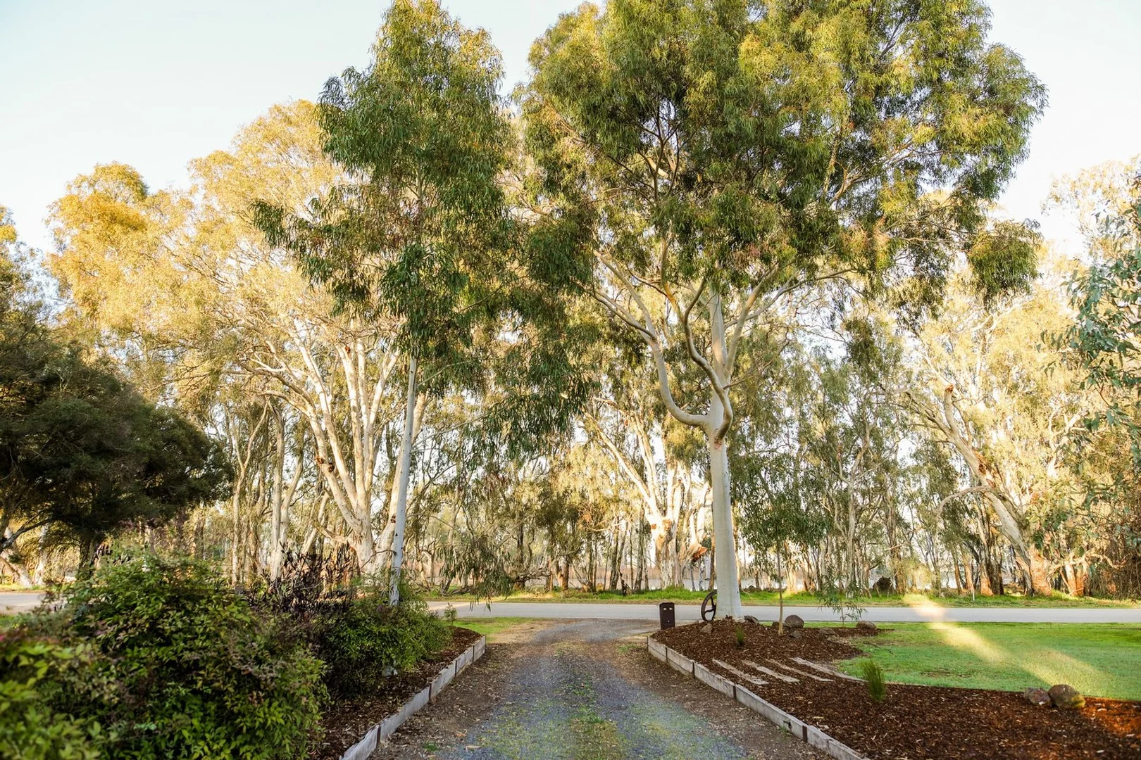 Additional image 21 of 503 Cohuna Island Road, Cohuna VIC 3568