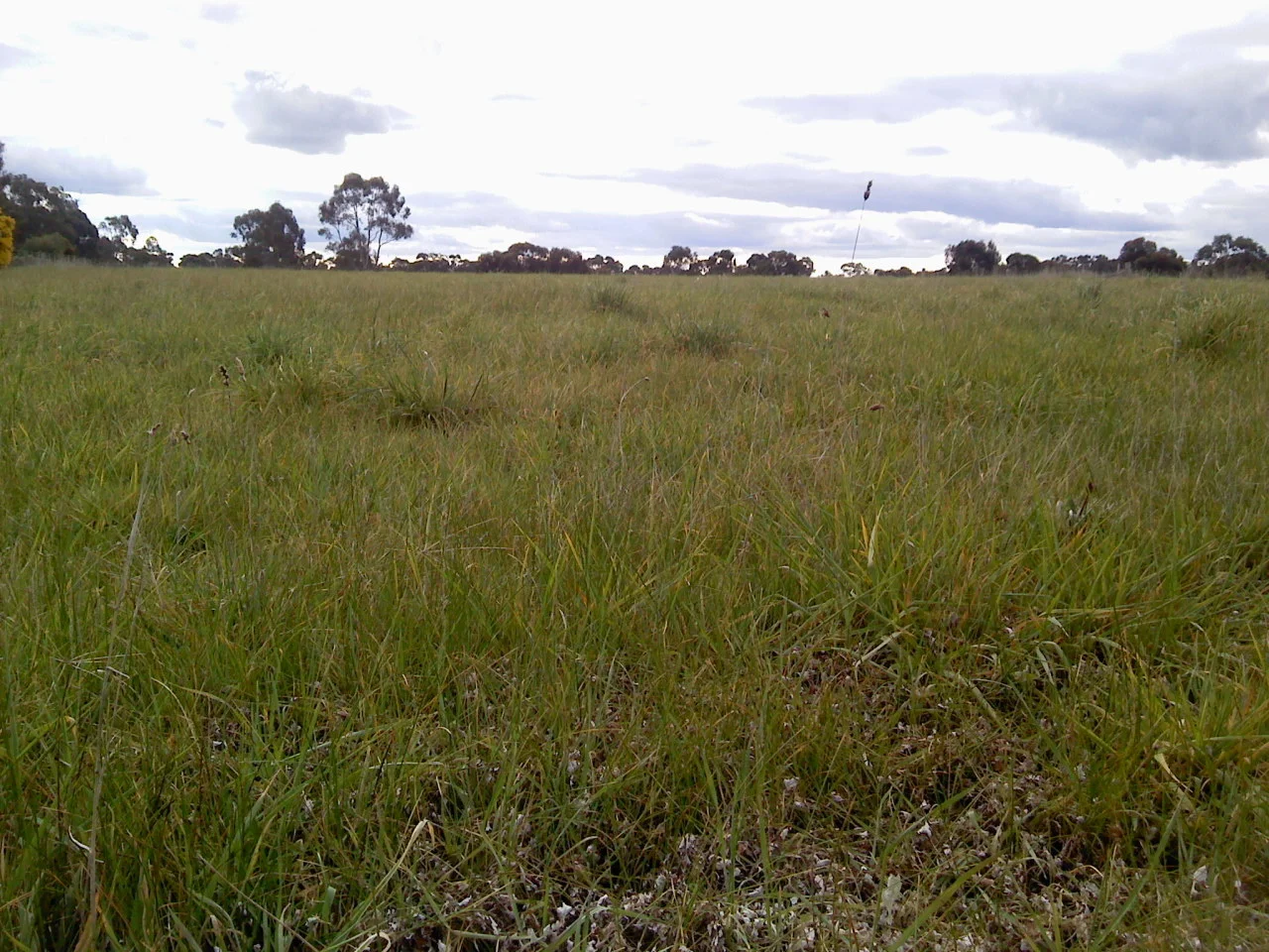 Additional image 3 of 8 Massimo Court, Maryborough VIC 3465