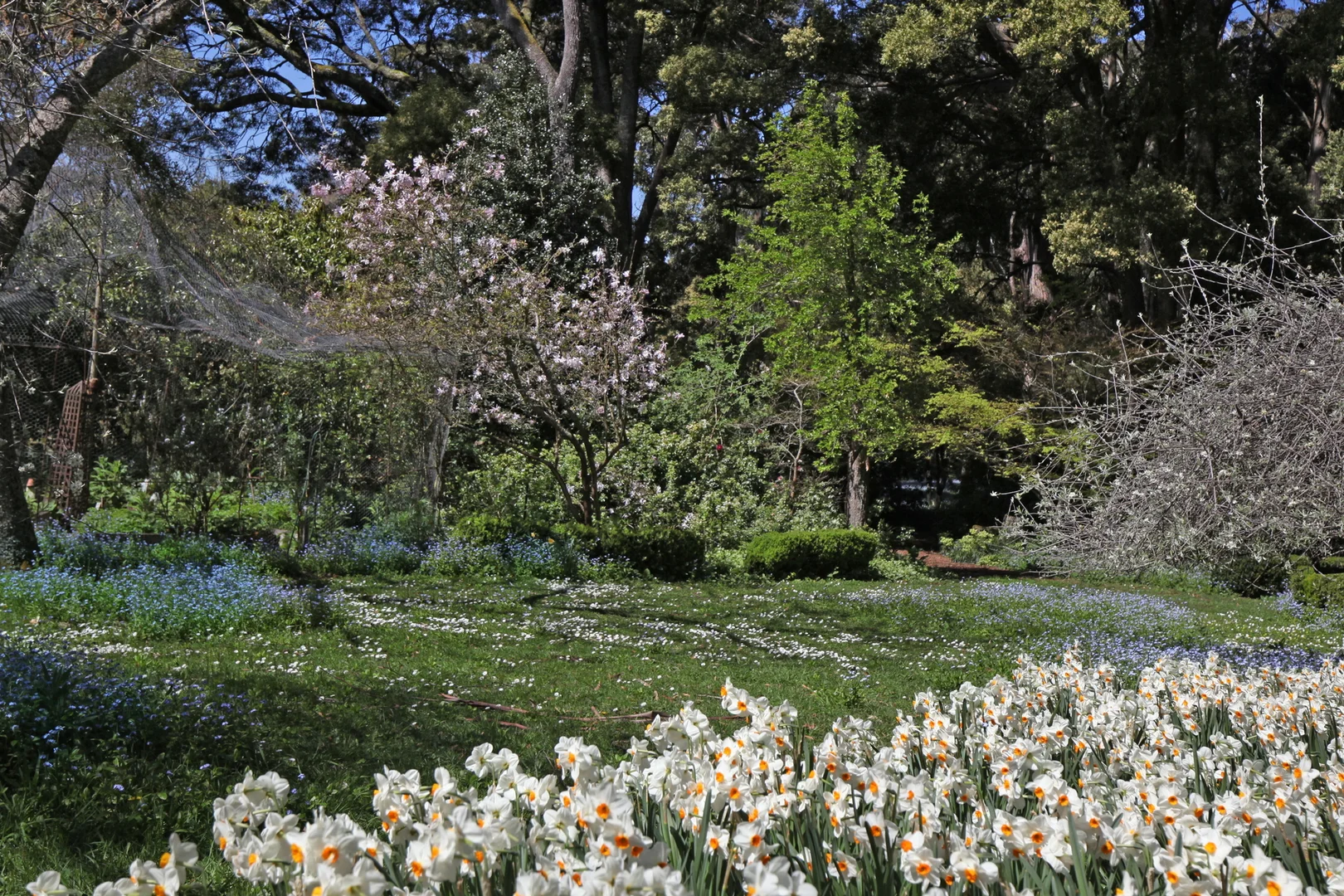 Additional image 31 of 123 Hesket-Boundary Road, Hesket VIC 3442