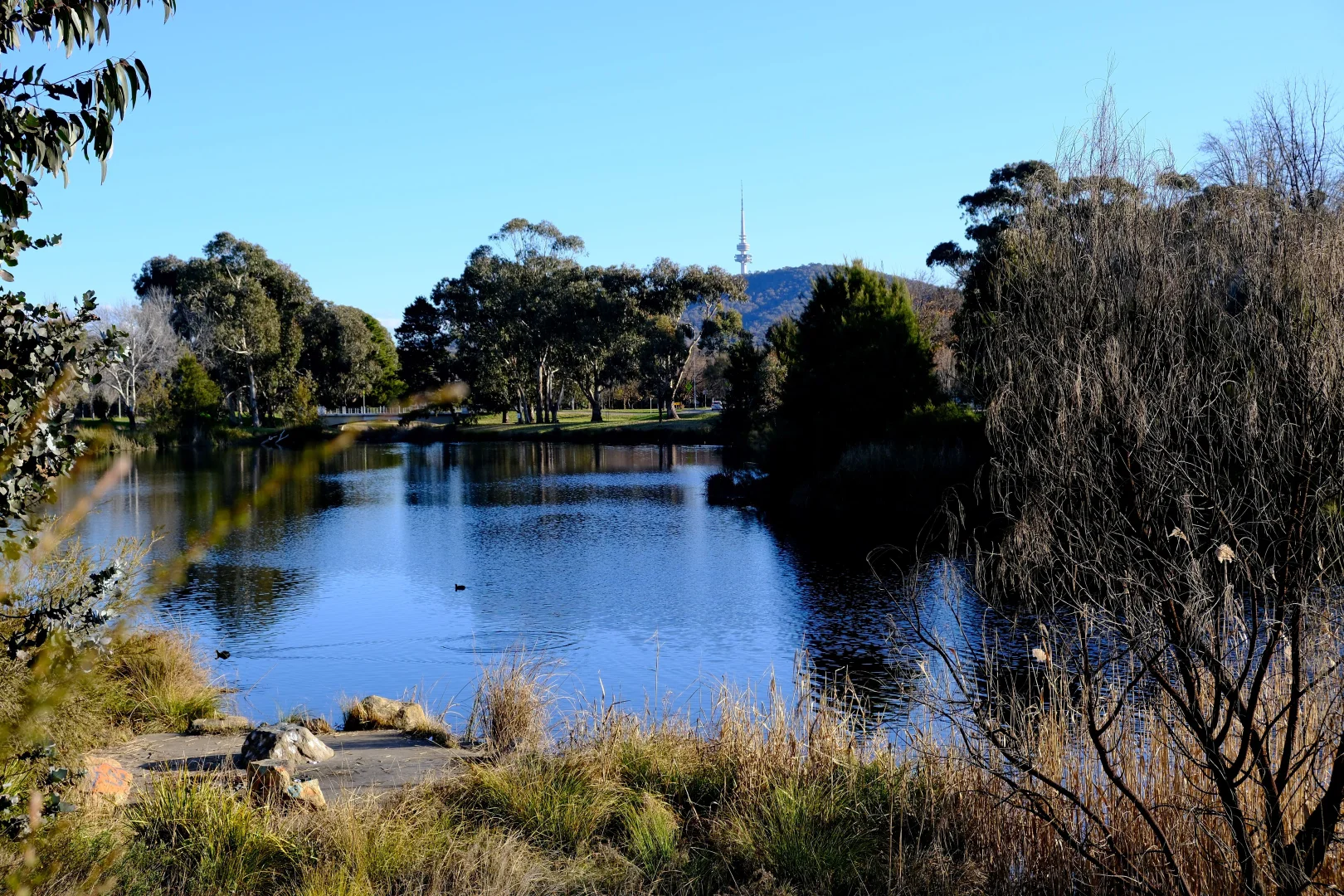 Additional image 9 of 109/355 Northbourne Avenue, Lyneham ACT 2602