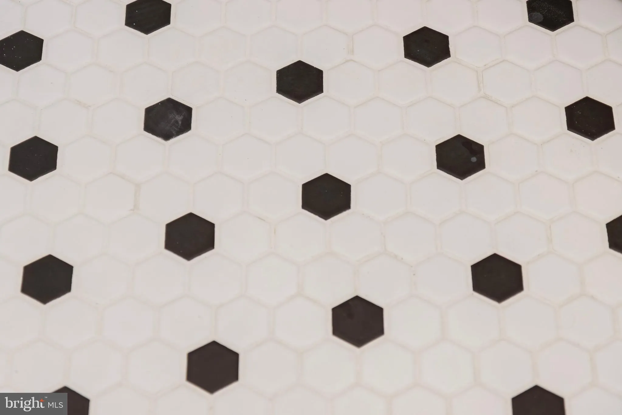 Additional image 110 of 223 Chad Place, Ocean View, DE 19970