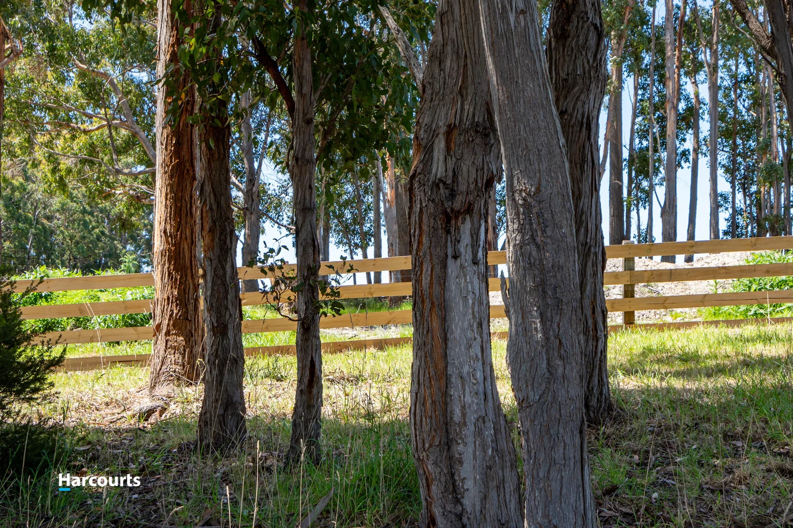 Additional image 7 of 18 Tully Street, Southport TAS 7109