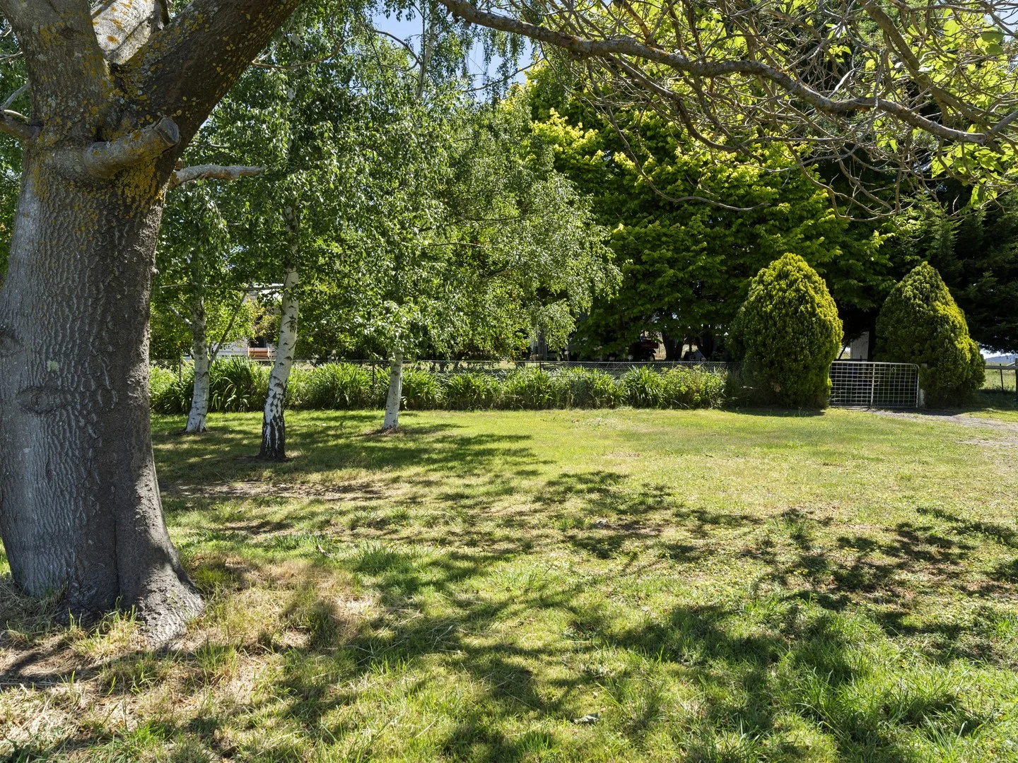 Additional image 2 of 1491 Merton Strathbogie Road, Strathbogie VIC 3666