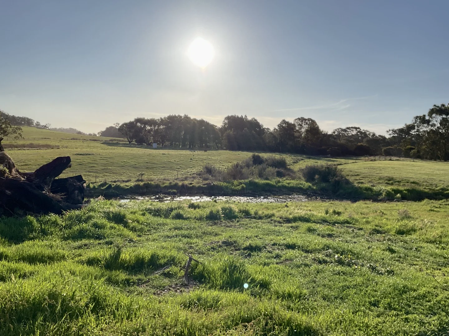 21 Hill Close, Ruffy VIC 3666