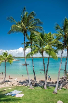 Additional image 7 of Bowen QLD 4805