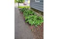 Additional image 8 of 23 Granite St, Taunton, MA, 02780