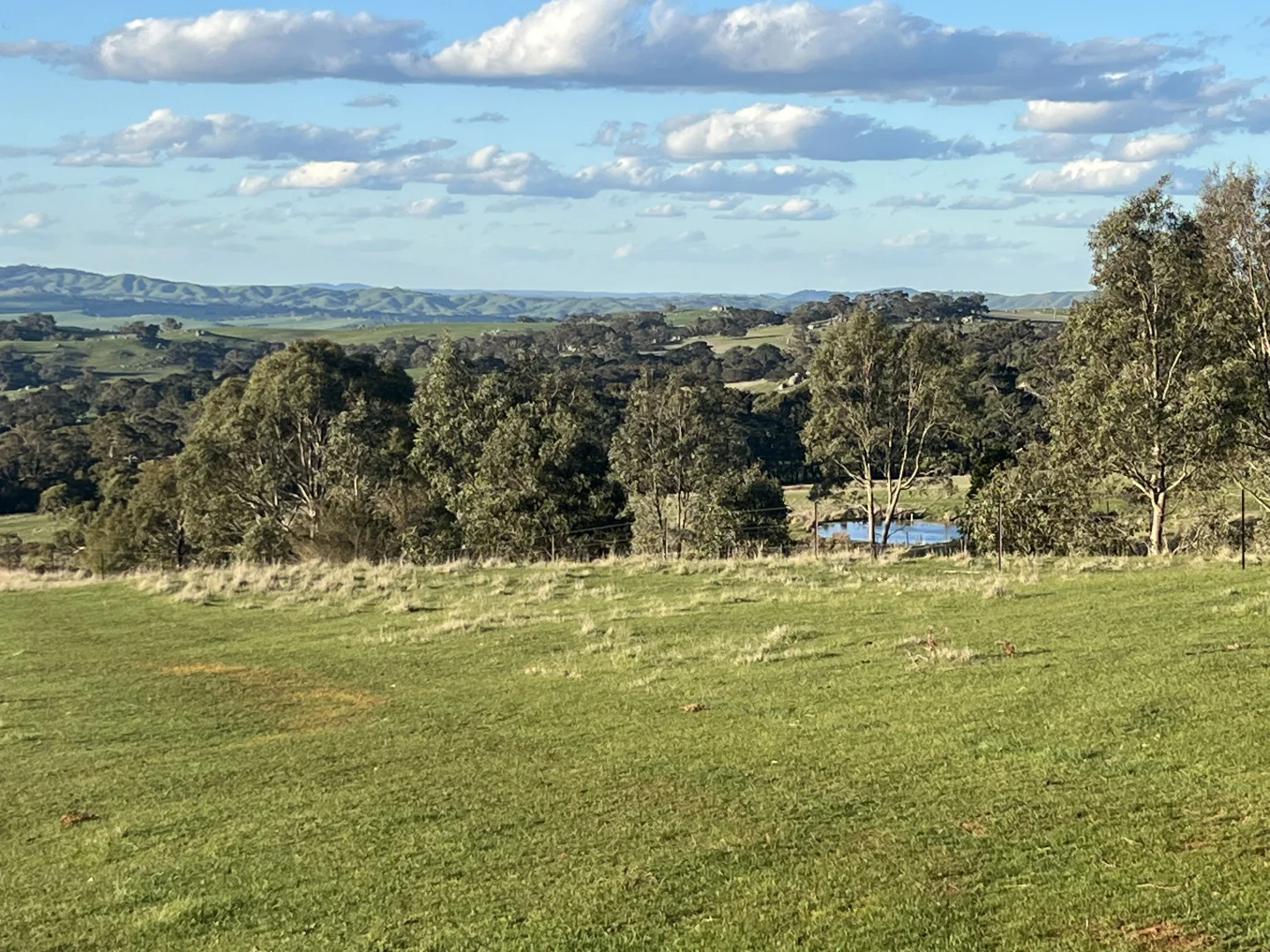 Additional image 17 of Lancefield-Pyalong Road, Goldie VIC 3435