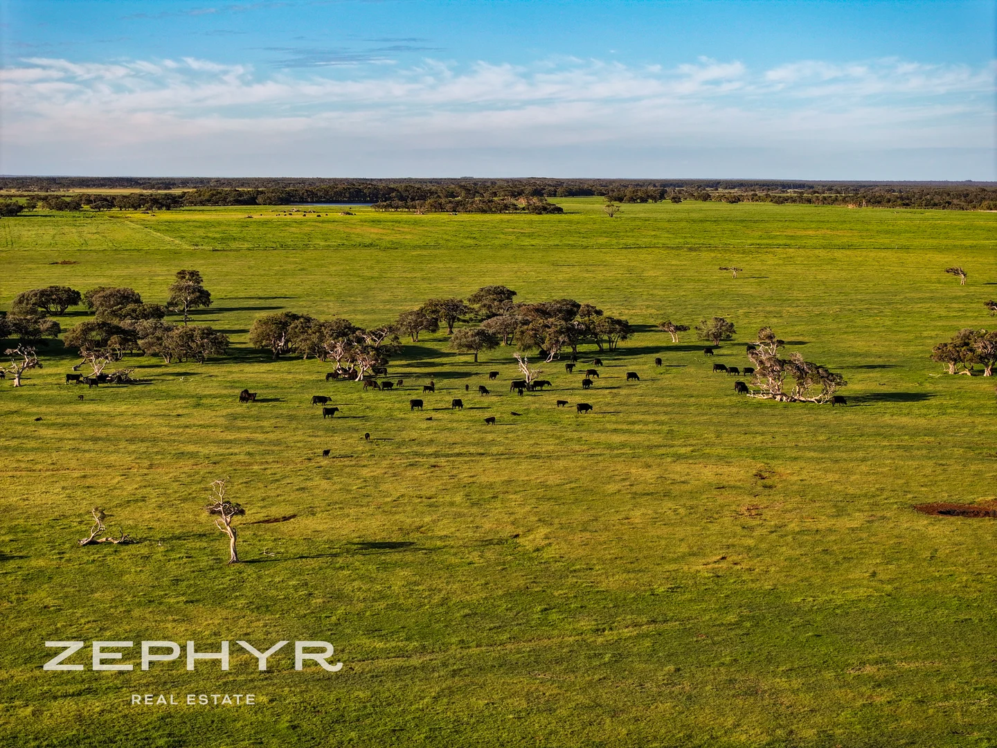 Additional image 10 of Scott River Road, Scott River WA 6288