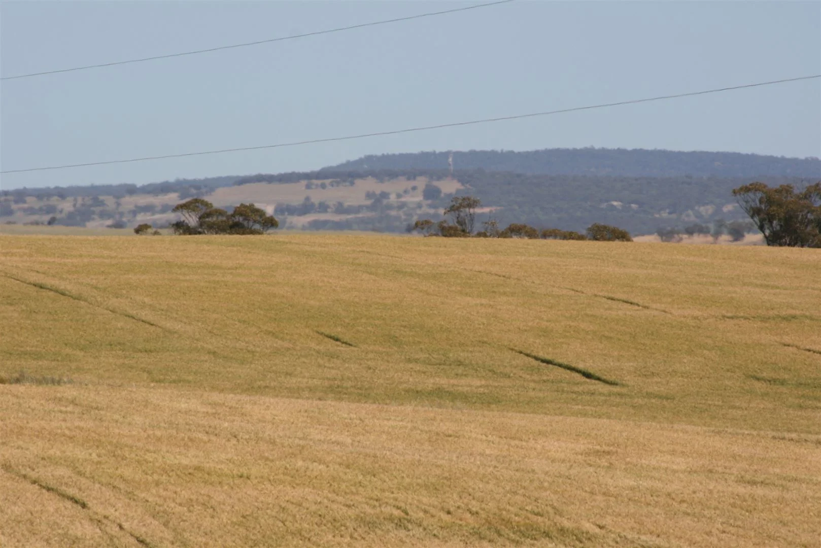 Additional image 5 of . Boramin & Mulukine Road, Grass Valley WA 6403