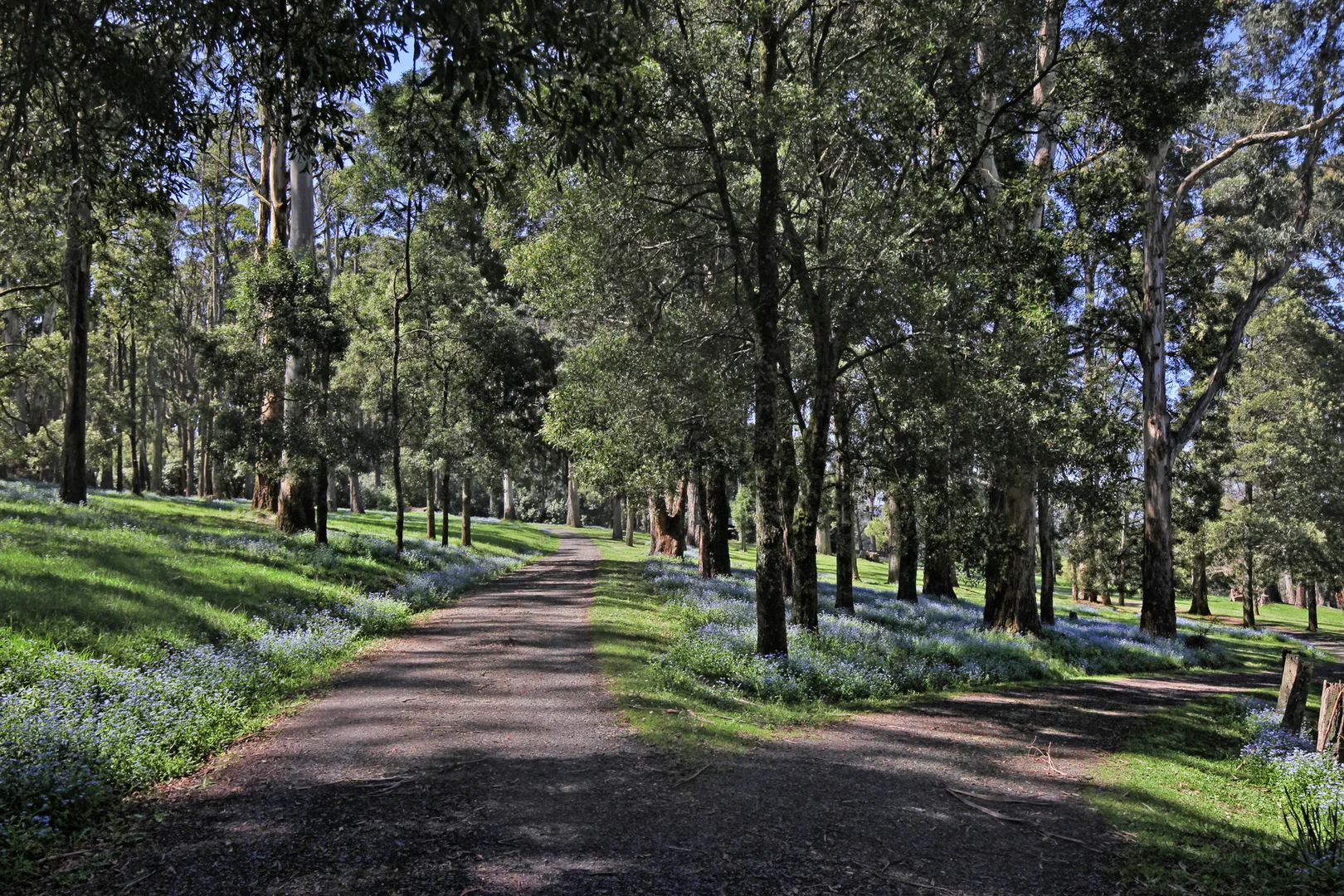 Additional image 30 of 123 Hesket-Boundary Road, Hesket VIC 3442
