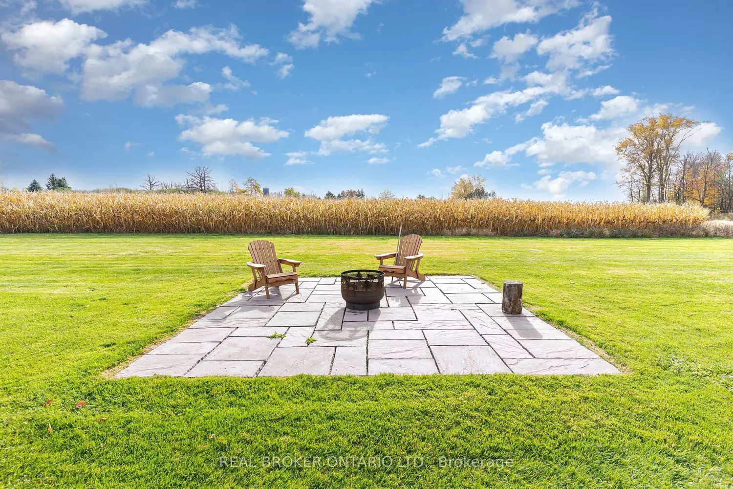 Additional image 11 of 13382 Torbram Road