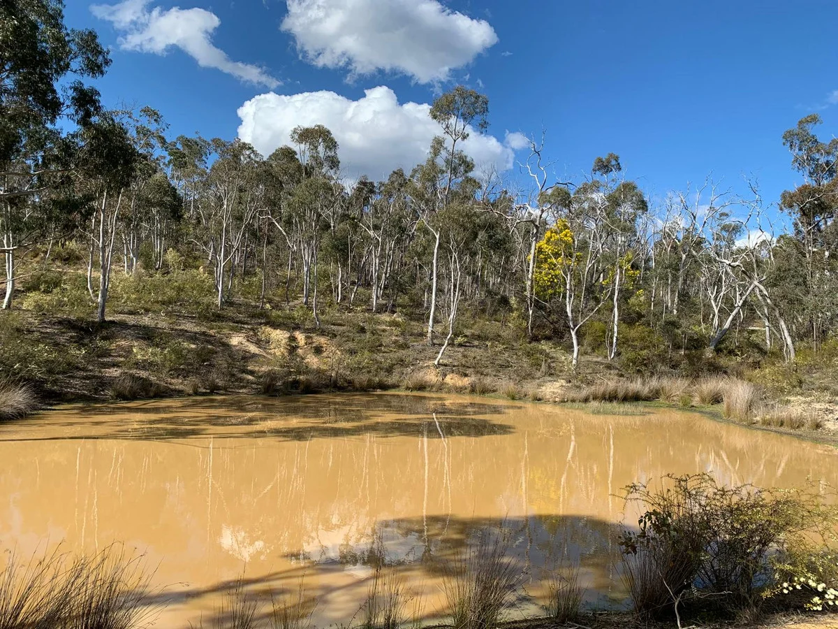 Additional image 28 of 1355 Spa Road, Windellama NSW 2580