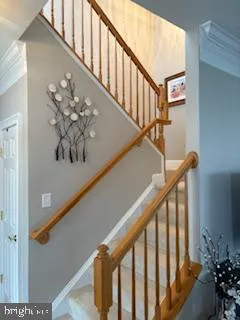 Additional image 54 of 16251 John Rowland Trail, Milton, DE 19968