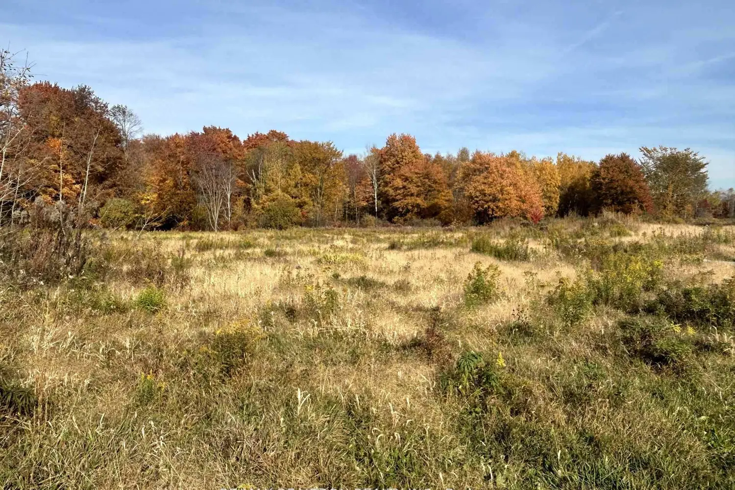 Additional image 16 of 833160 4Th Line