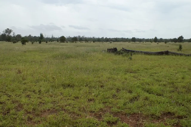 Additional image 3 of 2151 Tenomby Road, Goondiwindi QLD 4390