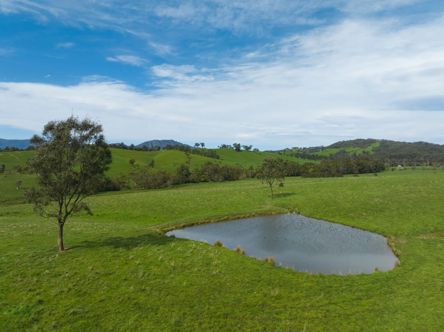 Additional image 4 of 101 Yellow Creek Road, Taggerty VIC 3714