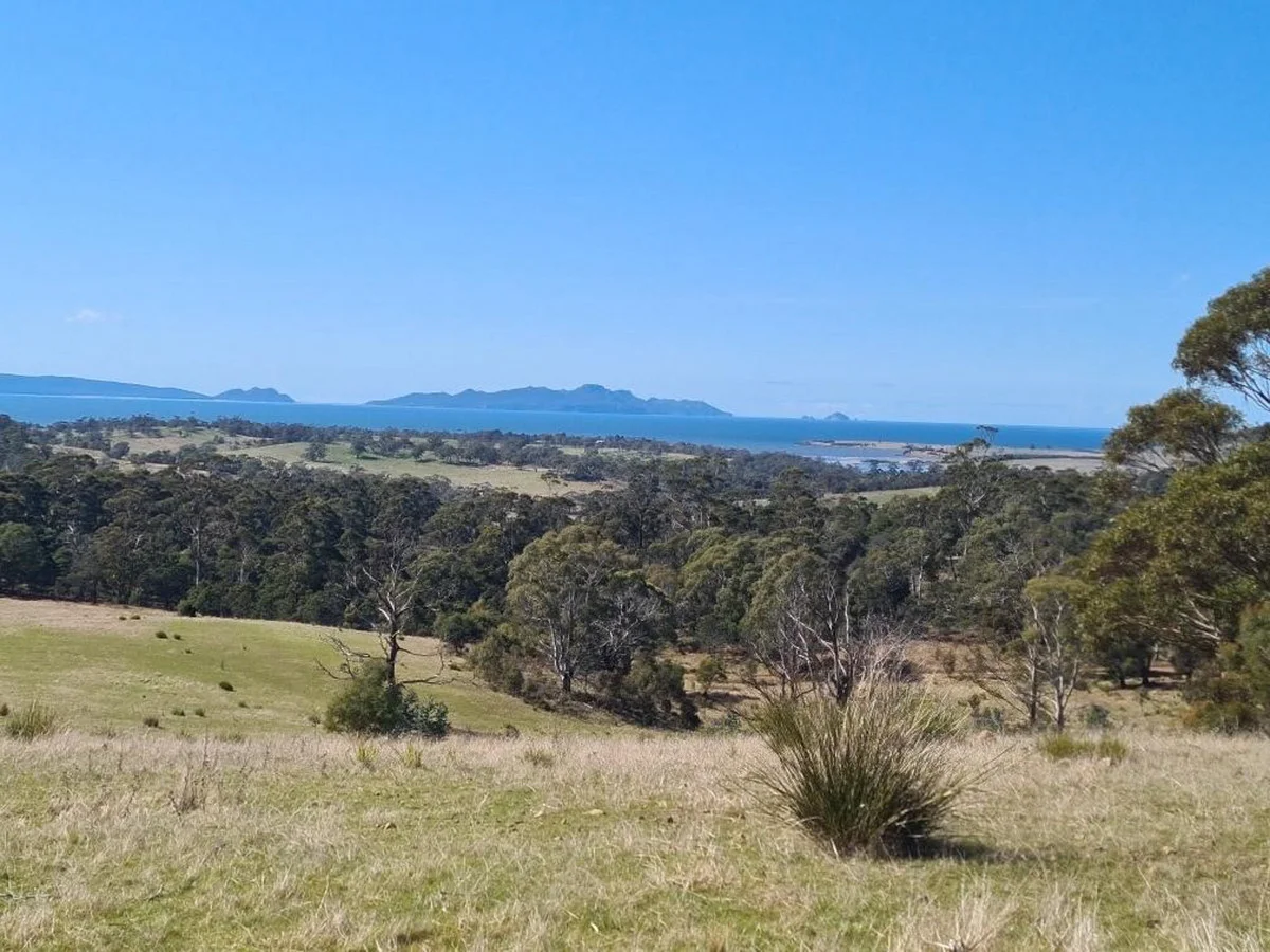 Additional image 7 of 2/10923 Tasman Highway, Little Swanport TAS 7190