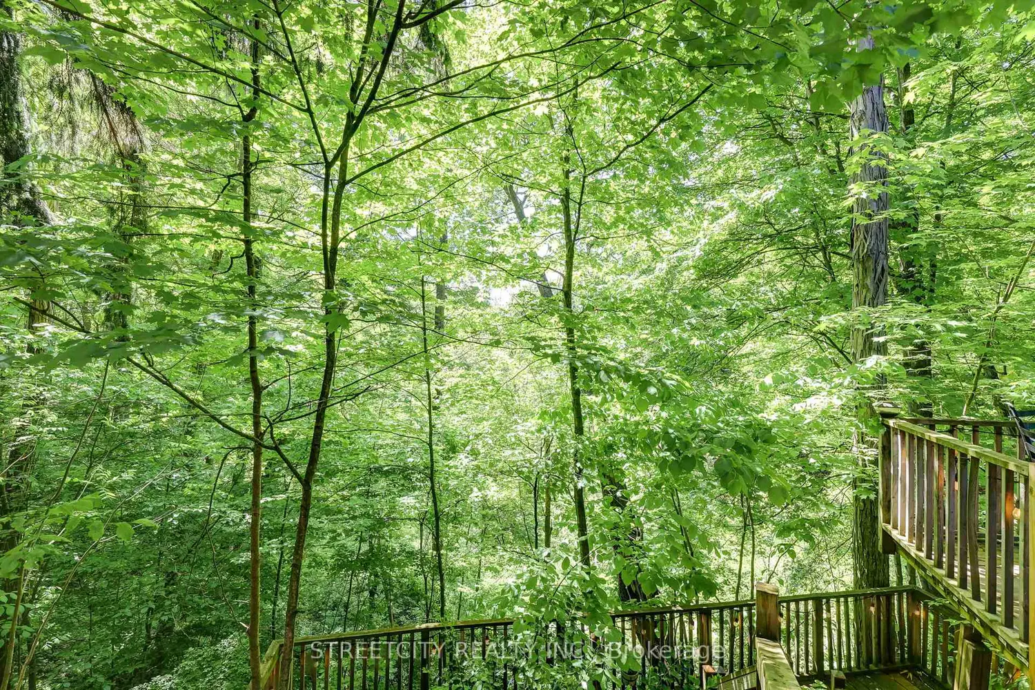 Additional image 17 of 7 Thistle Court